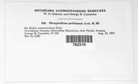 Image Associated With the Occurence
